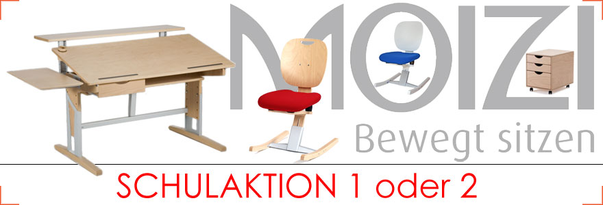 Moizi Schulaktion bis 26.08.2019 bei Riemenschneider Wiesbaden