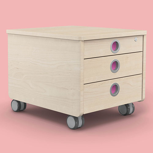 Rollcontainer Moll Pro bei Riemenschneider Wiesbaden